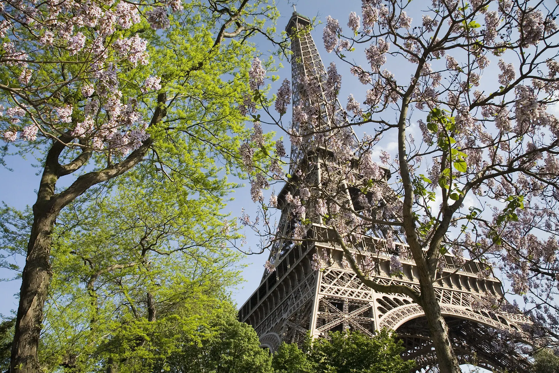 Tháp Eiffel giữa mùa xuân ở Paris